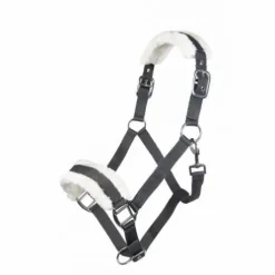 Licol mouton teddy - HKM - Confort optimal