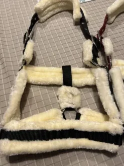 Licol neuf Showmaster