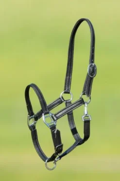 Licol poulain cuir souple - hfi - doublé et surpiqué