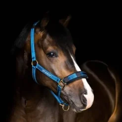 Licol reflechissant - Stubben