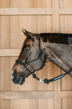 Licol éthologique - Dy'on