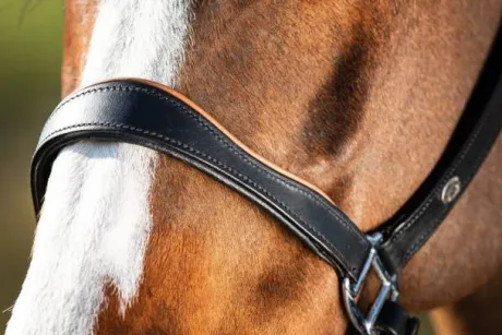 Licol éthologique two-tone - HFI - cuir souple