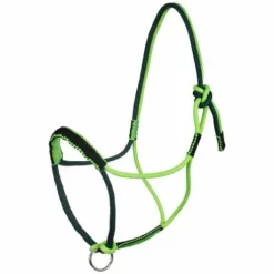 Licol Tressé Avec Décorations