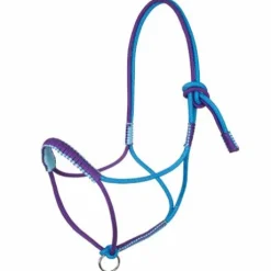 Licol Tressé Avec Décorations