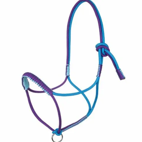 Licol Tressé Avec Décorations