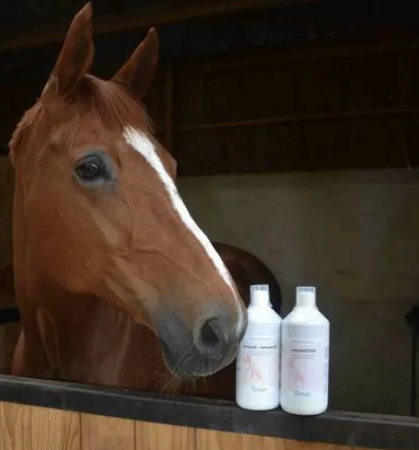 Locomotion Liquide - Nutragile