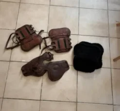 Lot protections cheval Guêtres Forestier + Protège-boul