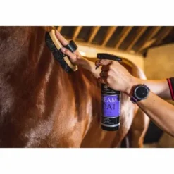 Lustrant cheval Dreamcoat - Carr & Day & Martin - Brillance éclatante