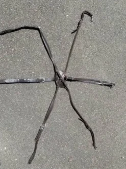 Martinguale avec collier de chasse croisé Dyon