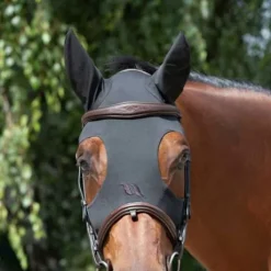 Masque apaisant Back on track