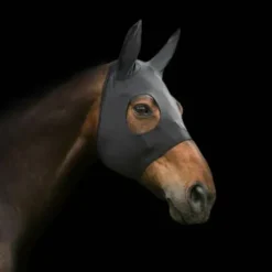 Masque apaisant Back on track