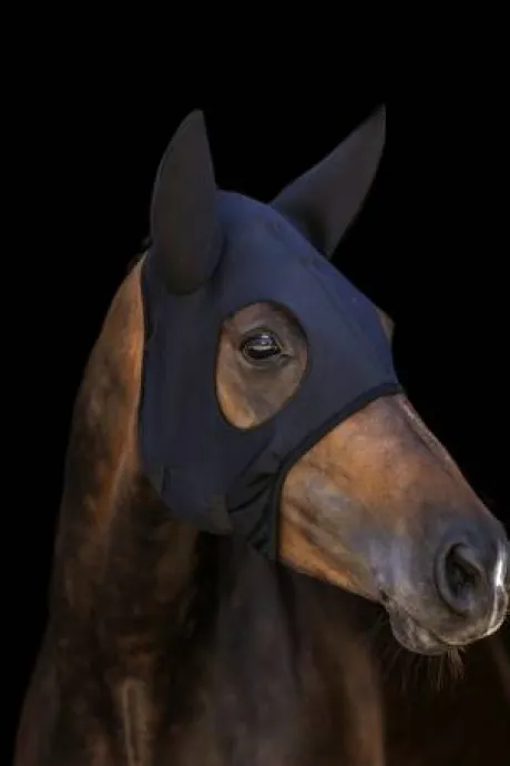 Masque Titanium Avec Oreilles Lami Cell