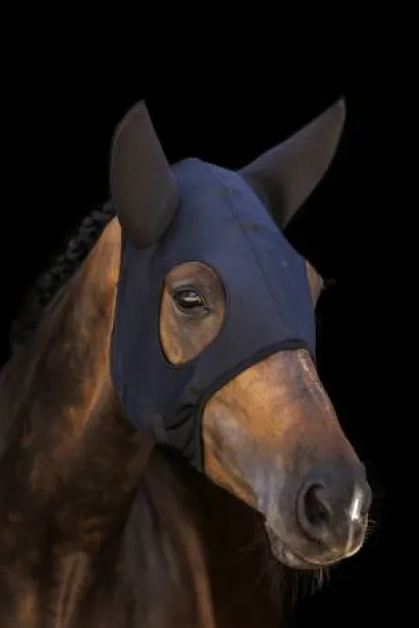 Masque Titanium Avec Oreilles Lami Cell