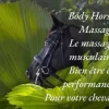 Massage sportif équin