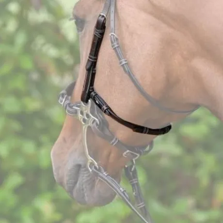 Montants et lanière pour hackamore - Collection Week - Jump'in