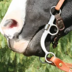 Mors Bob Avila AVB-121