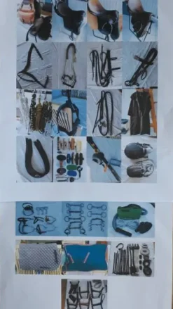 mors divers modèles occasion