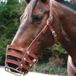 Muselière cuir à barres métalliques - Petitpas