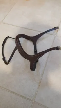 Muserolle anatomique ikonic