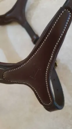 Muserolle anatomique ikonic