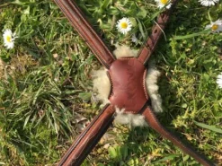 Muserolle croisée - Ikonic