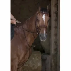 Norton Pro Martingale à anneaux