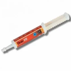 ORAL XB - Booster votre cheval de compétition