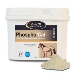 PHOSPHO'CAL - Favorise la minéralisation osseuse du poulain