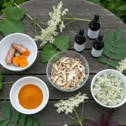 Phyt'articulation cheval - problèmes articulaires