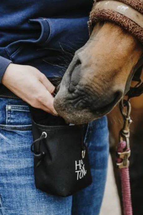 Poche à récompenses - Hippotonic