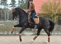 Polo Baselayer Rocky Road - Equito