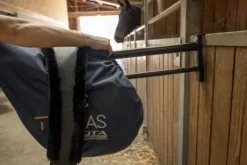 Porte-selle et tapis amovible - Hippotonic