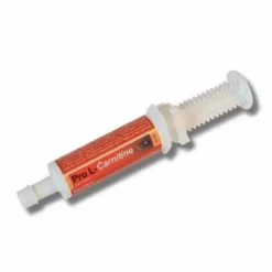 PRO L-CARNITINE - Endurance du cheval