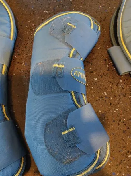 Protection de transport amigo taille cob