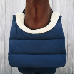 Protection poitrail hiver BIB - Kentucky