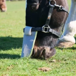 Protection solaire de nez Equilibrium