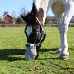 Protection solaire de nez Equilibrium