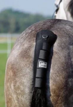 Protège queue - Eskadron