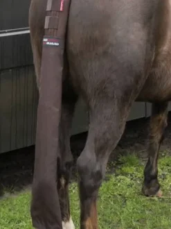 Protège queue intégral Lemieux