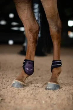 Protège-boulets Anatomic Fetlock Black Raven - Equestrian Stockholm