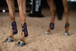 Protège-boulets Anatomic Fetlock Black Raven - Equestrian Stockholm