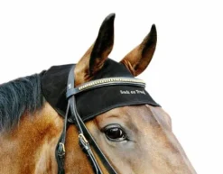 Protège-nuque bonnet thérapeutique - Back On Track