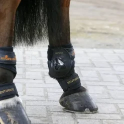 Protège-paturon - Kentucky