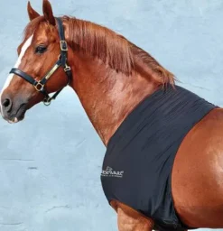 Protège-épaules Rambo - Horseware - lycra anti-statique