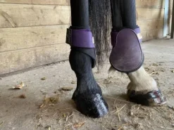 Protèges boulets Norton violet