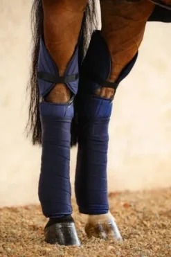 Protèges Jarrets Harcour Cavaletti (2 coloris)