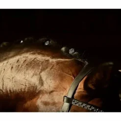 Quick Knot Jewel, clips pions en cristaux Swarovski Medley 12 pièces - Hes Tec