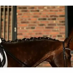 Quick Knot Jewel, clips pions en cristaux Swarovski Medley 12 pièces - Hes Tec