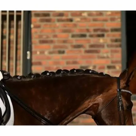 Quick Knot Jewel, clips pions en cristaux Swarovski Medley 12 pièces - Hes Tec