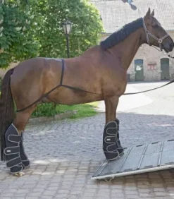 Rampe pour camion - Waldhausen